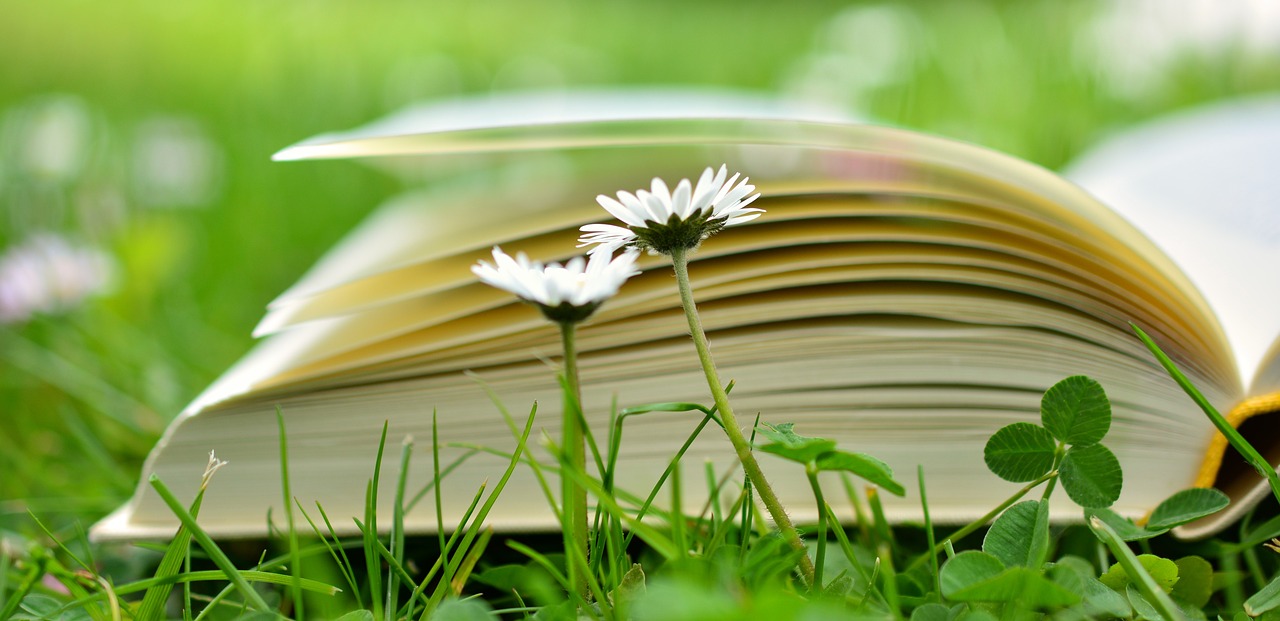 Bücher